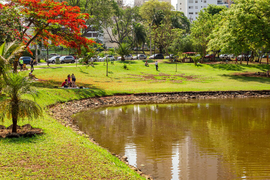 Um &acirc;ngulo do Parque Flamboyant na cidade de Goi&acirc;nia onde h&aacute; uma &aacute;rvore tamb&eacute;m chamada Flamboyant (Delonix regia) em flor. Um lugar para passear e relaxar.