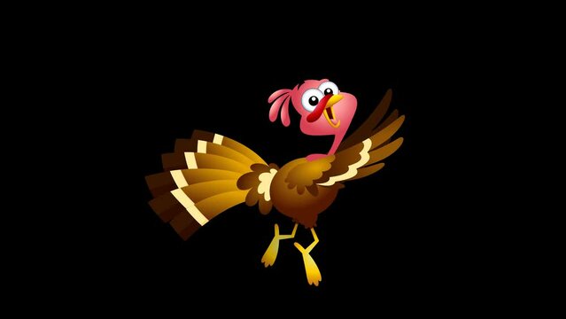 Scared Turkey Baby Cartoon Character Running. 4K Animation Video Motion Graphics Without Background