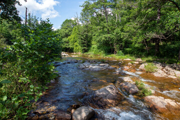 iğneada longoz ormanı
