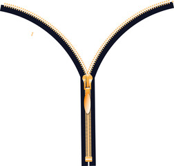 Zipper. Steel zipper in closed and open positions. Accessory for clothes. © YURII