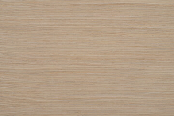 Fototapeta premium Oak 10 wood panel texture pattern