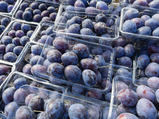 Box container fresh purple damson plums on market stall