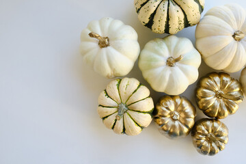 Modern composition in autumn style with white and golden pumpkins on a light background. Halloween, Thanksgiving party concept. Background for blog place for text. Empty space for text
