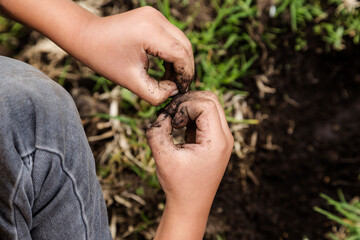 Close-up of a child's hands gardening. Planting trees
