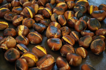 edible chestnuts roasted on a metal tray