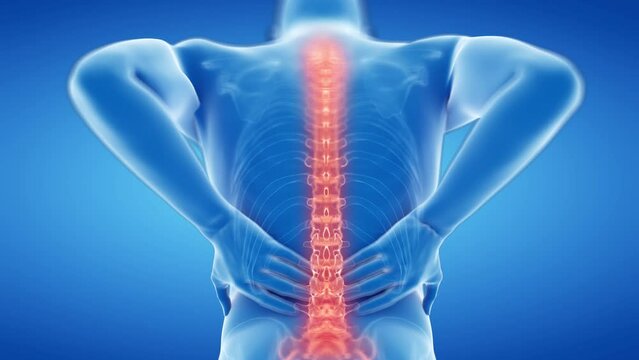 3d rendered medical animation of  a man having backache