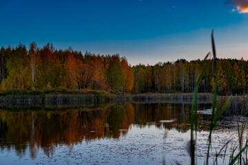 Lake of the Woods on an October evening in Samarskaya Luka National Park!