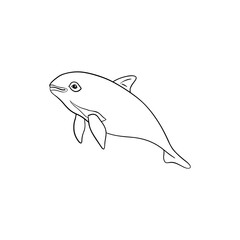 Vaquita marine outline illustration. Marine vector animal.