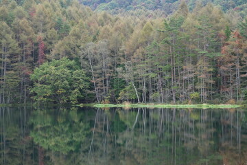 紅葉始まる御射鹿池