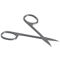 3d rendering illustration of nail scissors