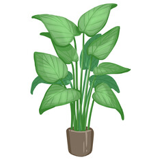 bonsai plant leaf png image transparent image no background 