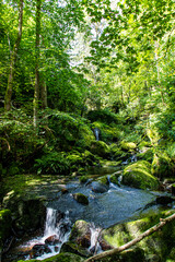 Fototapeta na wymiar waterfall in the blackforest