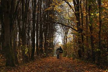 Young adult son and mother on road in the autumn forest. Pavel Kubarkov, i and my Mother Marina and autumn forest around us. Photo was taken 8 October 2022 year, MSK time in Russia. - 537245959