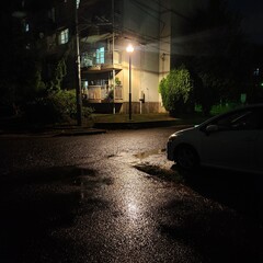 a street lamp on a rainy day