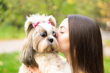 Close up portrait brunette woman holds in her arms hugs and kisses a funny surprised shih tzu dog...