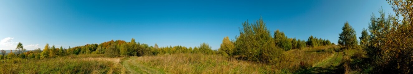 Obraz na płótnie Canvas Panorama of autumn tree on a large lawn.