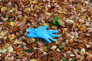 Niebieska rękawiczka jednorazowa zaśmieca trawnik.