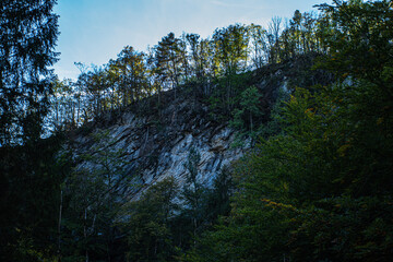 Forest trip in Broc, Switzerland