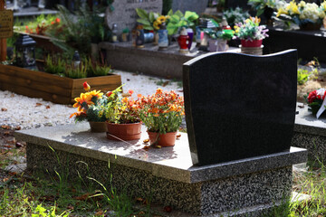Cmentarz jesienią z alejką grobów bliskich.  - obrazy, fototapety, plakaty