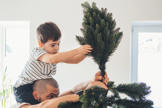 Father and son install an artificial Christmas tree. Natural xmas tree for merry winter holiday season.
