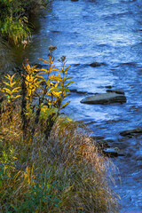 river in autumn