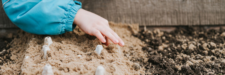 spring planting seeding in farm garden. little six year old kid boy farmer gardener plants and sow vegetable seeds in soil in bed. gardening and beginning summer season in countryside village. banner