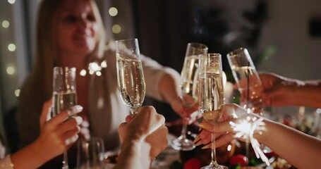 The family clinks glasses over the festive table, holds sparklers in their hands