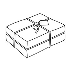 Package vector icon.Outline vector icon isolated on white background package.