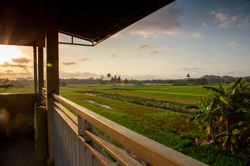 A terrace with rice field scenery