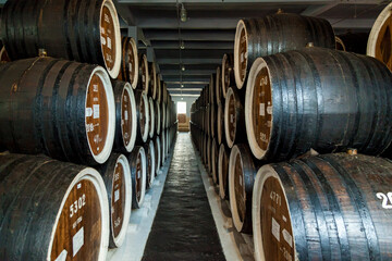 Wooden barrels at cognac factory