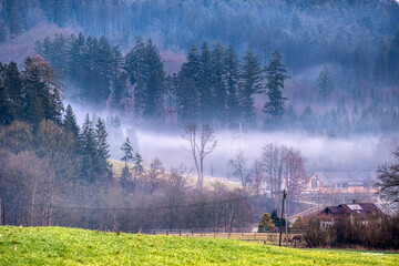 Morgennebel