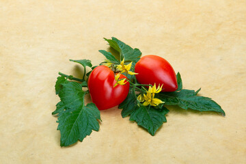 Tomaten in Herzform auf Blättern, mit Tomatenblüten