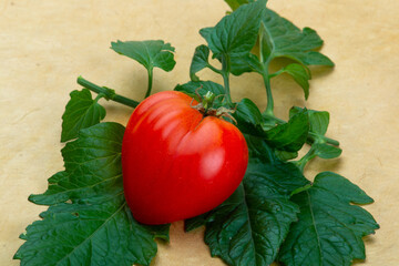 Tomate in Herzform auf Tomatenblättern - 537262953