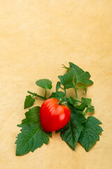 Einzelne Tomate in Herzform auf Tomatenblättern - 537262960