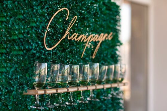 Selective Focus Shot Of Glasses Of Champagne In A Row On A Green Grass Wall Background