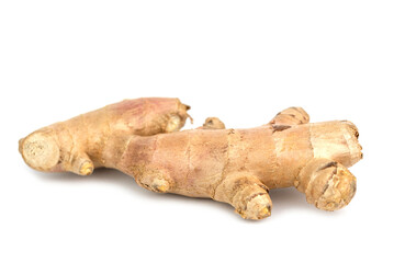 the fresh whole ginger root