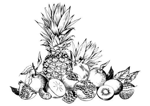 Pineapples and sweet fruits arrangement. Black and white hand drawn vector illustration.