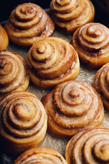 cinnabons cinnamon bun