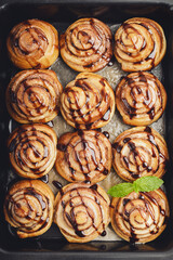 cinnabons cinnamon bun with chocolate