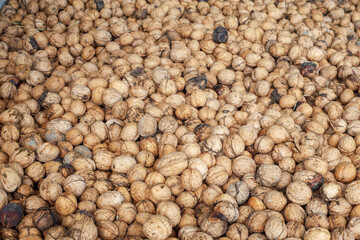 Circassian walnut background or texture, healthy food with a lot of vitamins. nutrition,Dry walnut background, close up