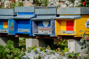 Colored wooden hives