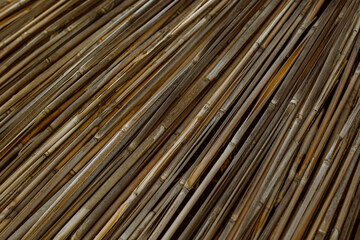 Dry reeds or bamboo texture. Natural background.