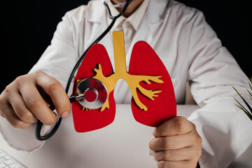 Doctor holding lung organ model close-up. Healthcare concept
