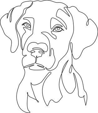 recommend clip art: labrador continuous single line art portrait, vector illustration graphic print