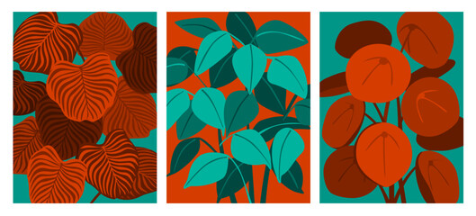 abstract foliage decorative houseplants  prints set, vector illustration © VecTerrain