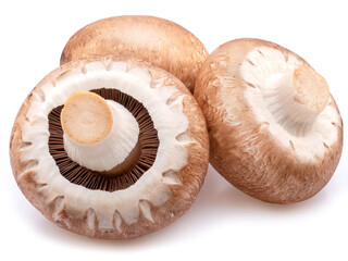 Brown cap champignons isolated on white background. Close-up.