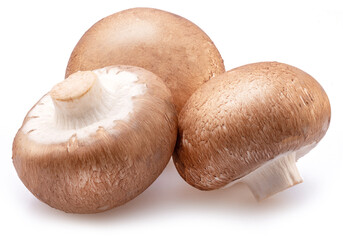 Brown cap champignons isolated on white background. Close-up.