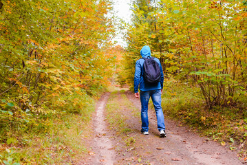 A young male hiking with a backpack.Man walks along the autumn forest path way.A healthy lifestyle in nature.Rear view.