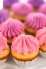 Mini Vanilla Cupcakes with Pink Buttercream Frosting