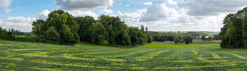 Cropped green agriculture fields at the Flemish countryside around Asse